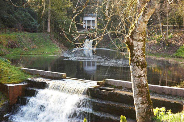 Barony Castle Image 2